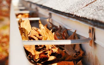 Carrhouse gutter cleaning companies